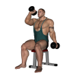 Hammer Curl - Seated Dumbbell Feet Up Alternate